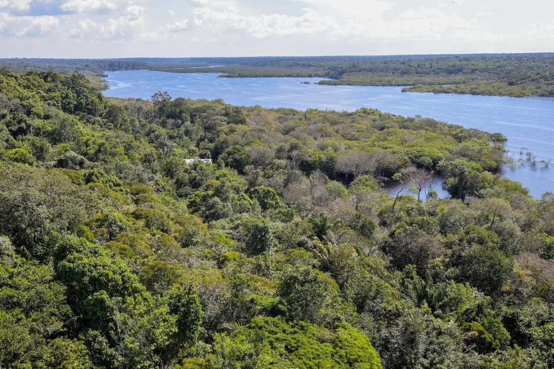 Amazônia Legal teve 2.053 km2 de desmatamento de janeiro a agosto de 2026. O número é 2% maior que o mesmo período de 2…