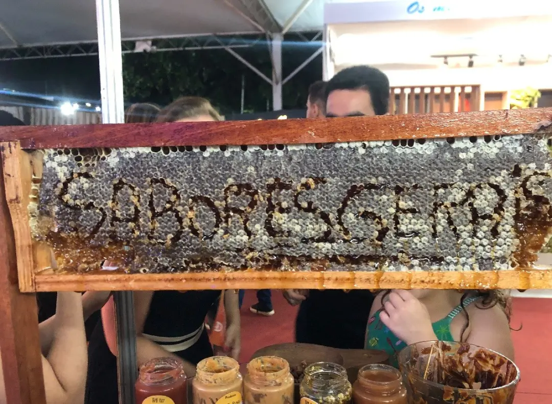 Montes Claros recebeu o projeto Sabores do Gerais na 31ª Fenics, com produtores do Pequi mostrando os frutos do cerrado…