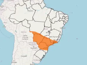 Ventos de até 100 km/h e temporal previstos para Sul, Sudeste e Centro-Oeste. A gente tem que se preparar pra essas mud…