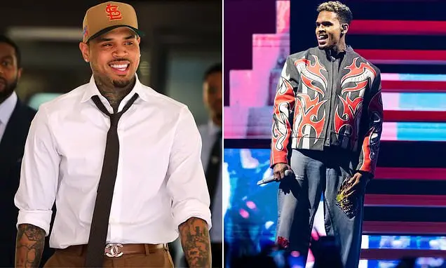 Chris Brown ganhou um novo julgamento sobre os 12,9 milhões de dólares que tinha que pagar para a ex-empregada Maria Av…