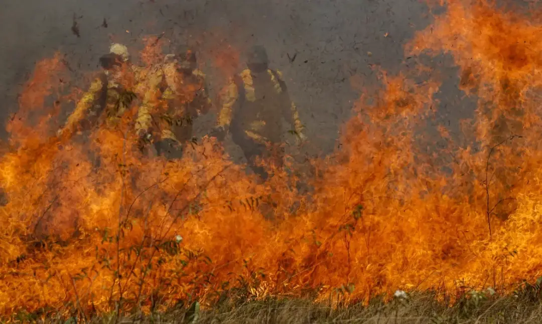 Posse, em Goiás, teve frente de incêndio ameaçando casas perto da BR-020, mas foi controlada. A contratação de avião pe…