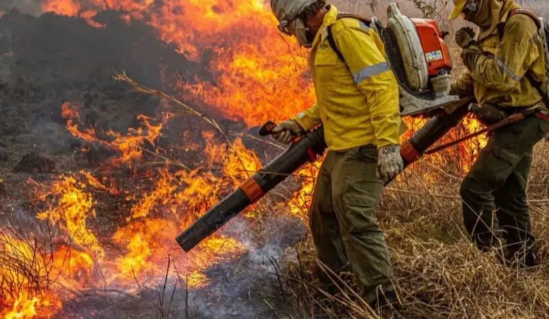 Monte Alegre e Rurópolis decretaram emergência por causa dos incêndios no oeste do Pará. Com focos de calor ultrapassan…