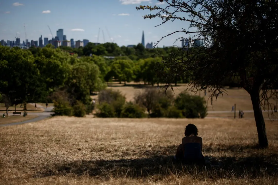 Cidades como Londres estão vendo árvores lutarem com verões quentes e secos. Especialistas alertam que é preciso trocar…