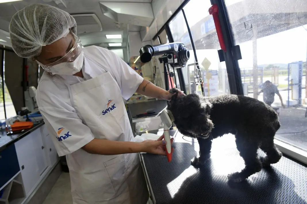 84 vagas gratuitas em cursos pet chegam a Paraty pelo Senac RJ. É uma chance real de quem quer se qualificar no mercado…