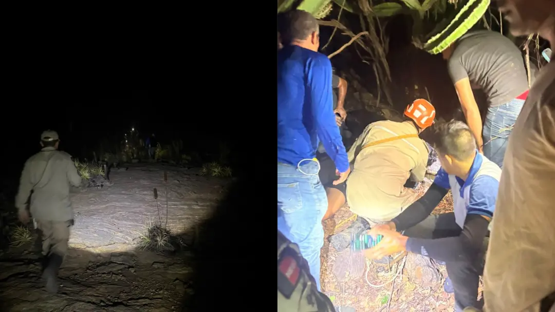 Patos, na Paraíba, um homem foi resgatado com vida após sumir na mata. Ele estava semiconsciente e desorientado, o que …