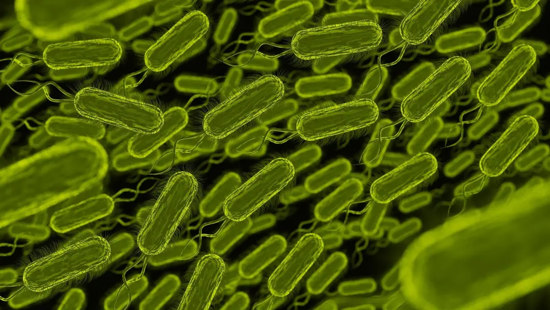 Um em cada oito casos de câncer no mundo está ligado a infecções, sendo que a maioria desses casos tem relação com cinc…