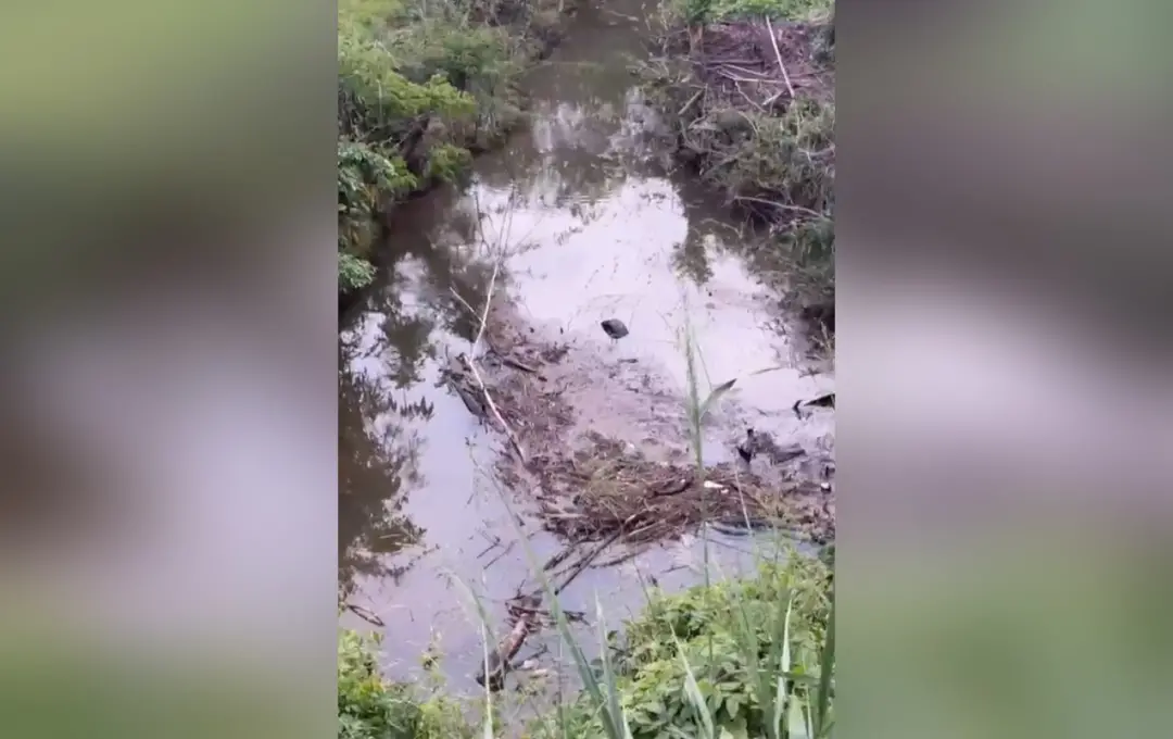 Taguaí, SP. Mulher morreu após carro capotar em córrego às margens da rodovia SP-249. A vítima ficou submersa no veícul…