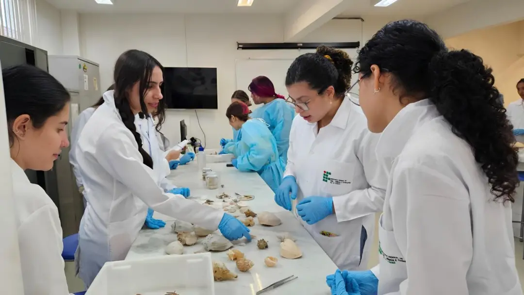 Dois projetos acadêmicos mostram força feminina: 20 alunas do IFRJ e 17 da UVA estudam oceanos e clima. Essa experiênci…