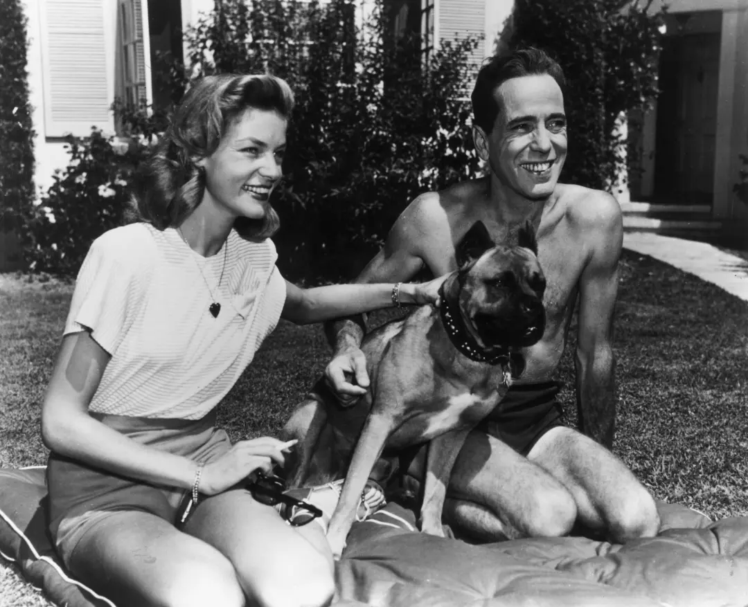Vinte e duas fotos mostram celebridades e políticos com seus pets. Acho bacana ver essa conexão, mostra que a gente tem…