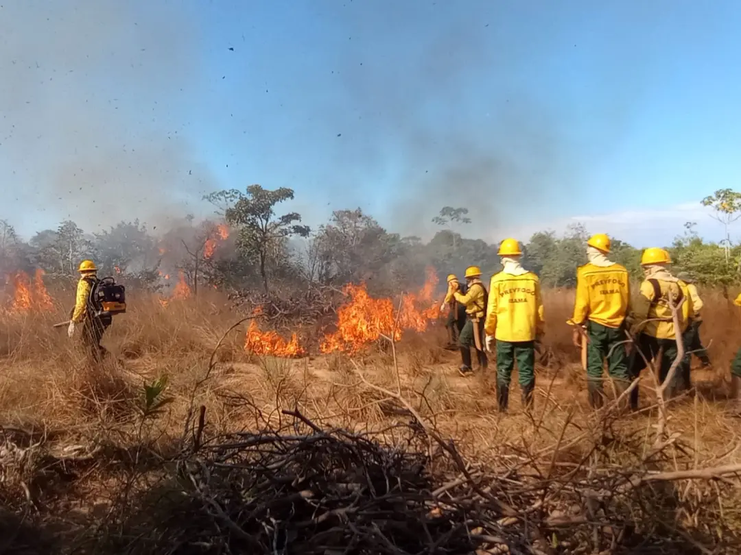 Monte Alegre e Rurópolis decretaram emergência por conta dos incêndios florestais no oeste do Pará. A combinação de est…