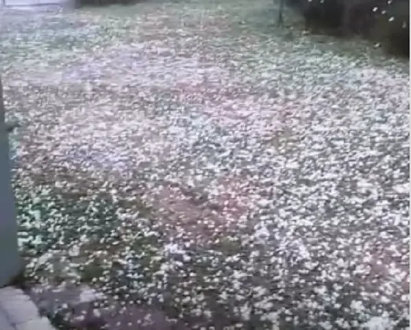 39 mil pessoas afetadas pelos temporais no Rio Grande do Sul. É um peso ver tanta gente desabrigada ou com a casa danif…