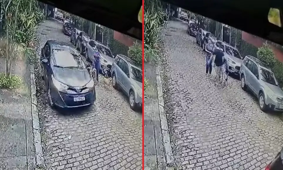 Gávea, Rio, médica agredida por motorista que teve impaciência com uma cadela na Rua Piratininga. Essa violência por ca…