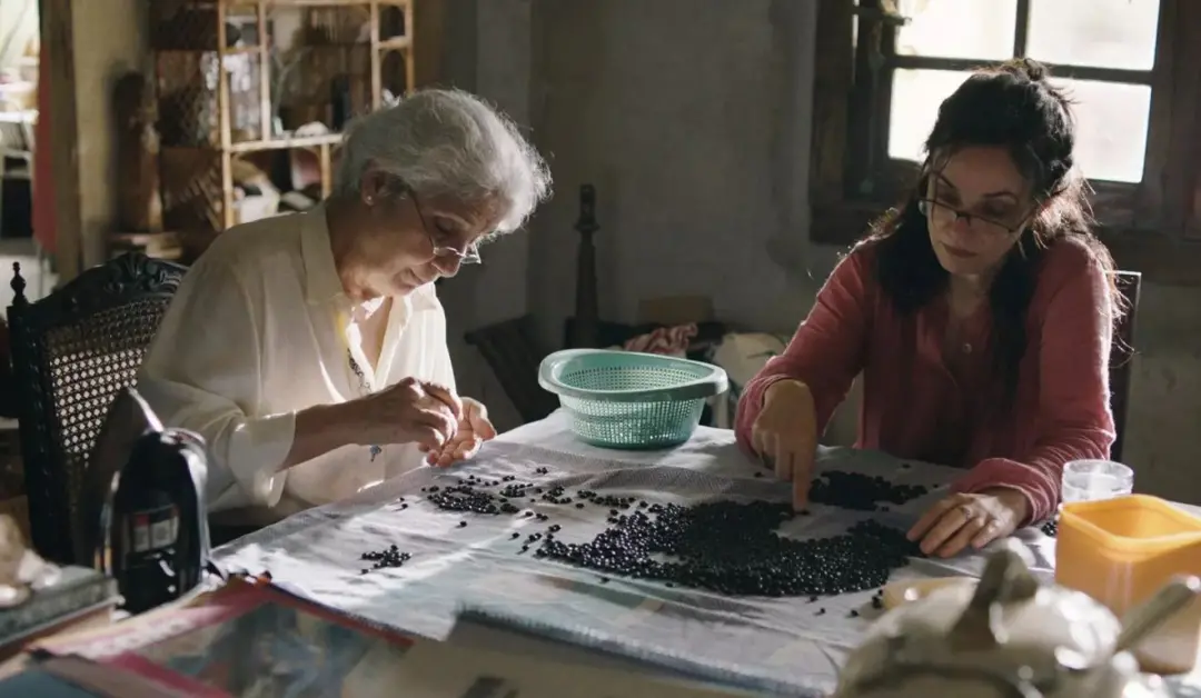 Malu, longa brasileiro, será exibido de graça no CineSesc Ver-o-Peso dia 30 de setembro, às 18h30. A obra traz a crise …