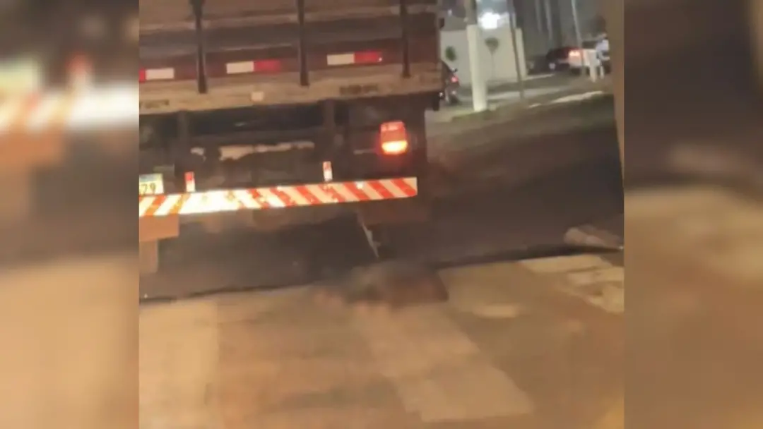 Em Olímpia, SP, um caminhoneiro foi investigado por arrastar um cachorro preso na traseira do veículo na Avenida Aurora…