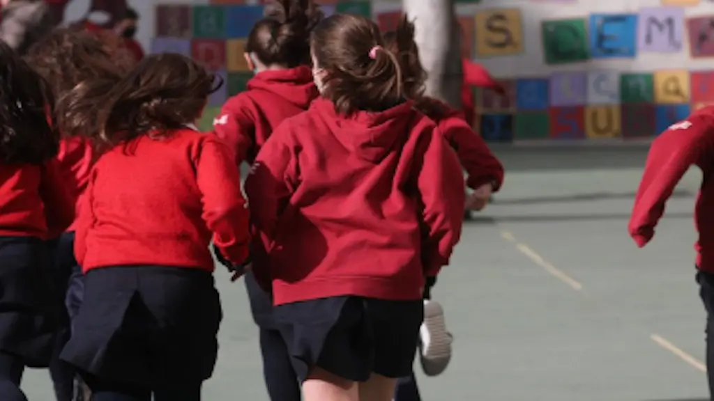 Metade das crianças vítimas de bullying nunca conta para ninguém, alerta psiquiatra espanhol. A escola tem que ser um l…