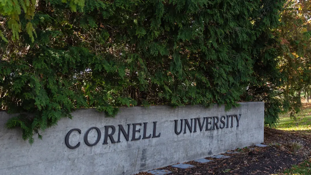 Cornell University determinou que as punições para os estudantes envolvidos na alegação de agressão em massa da gangue …