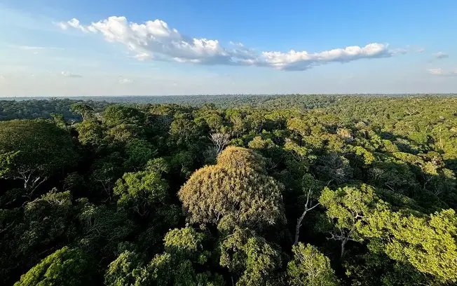 Inscrições pro 10º Fórum Brasileiro de Educação Ambiental, em Brasília, vão até dia 30. A gente tem que ver como essas …