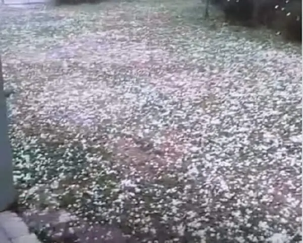 Mais de 12 mil pessoas foram afetadas pelos temporais no Rio Grande do Sul, com chuvas intensas e granizo em 44 municíp…
