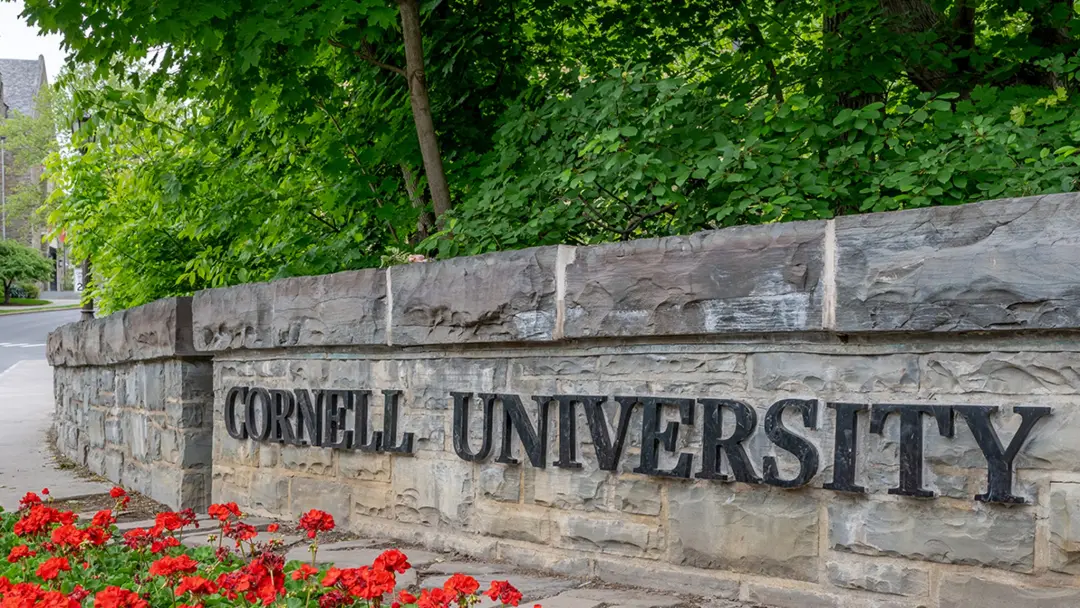 Cornell, brothers acusados de agressão e abuso sexual, têm o caso reaberto pelos promotores. A abertura mostra que o pr…