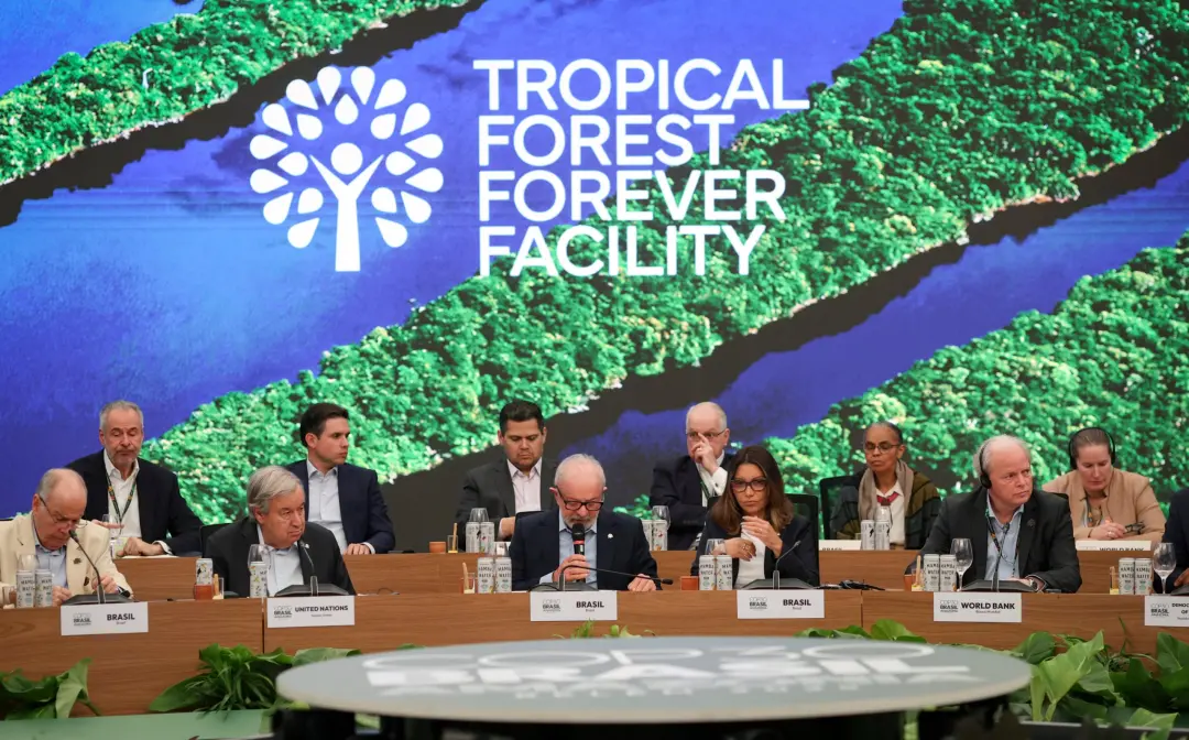 US$ 7,3 bilhões de compromisso chegaram no Fundo Florestas Tropicais para Sempre após aporte de £ 400 milhões do Reino …