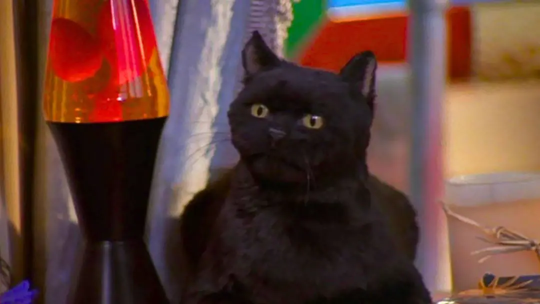 Sabrina, com 16 anos, descobrir o poder de bruxa em uma trama com influências de gibi nos anos 90. A mistura do mistéri…