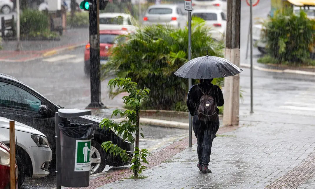 Temporais em todas as regiões de Santa Catarina entre segunda e terça, com risco alto de destelhamento e quedas de árvo…