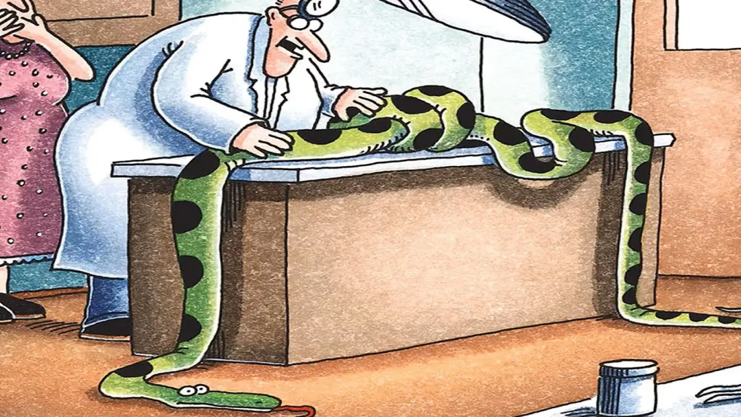Publicação de @samuel.rodrigues