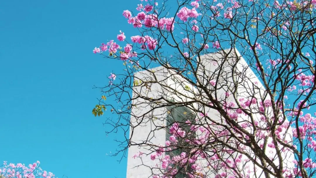 Primavera em SP com previsão de calor intenso e temporais, influenciado pelo El Niño. Esse cenário irregular de chuva e…