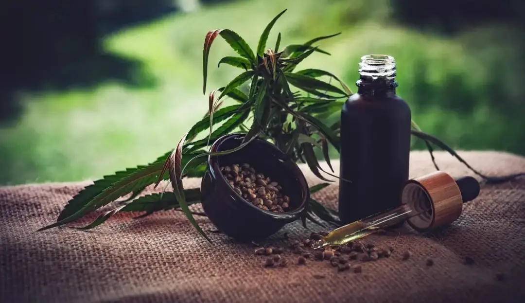 Fortaleza, em setembro, mostrou incerteza no avanço da cannabis medicinal. Associações citam apreensões de insumos e a …