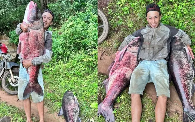 Mais de 30 quilos em uma carpa gigante capturada no lago T’Nung, Vietnã. Esse lance mostra como a paciência e a técnica…
