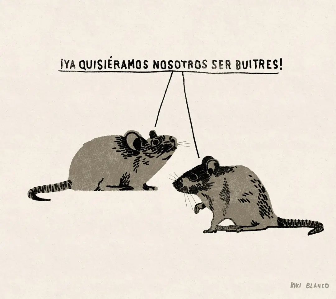 Publicação de @giovanna.ferreira