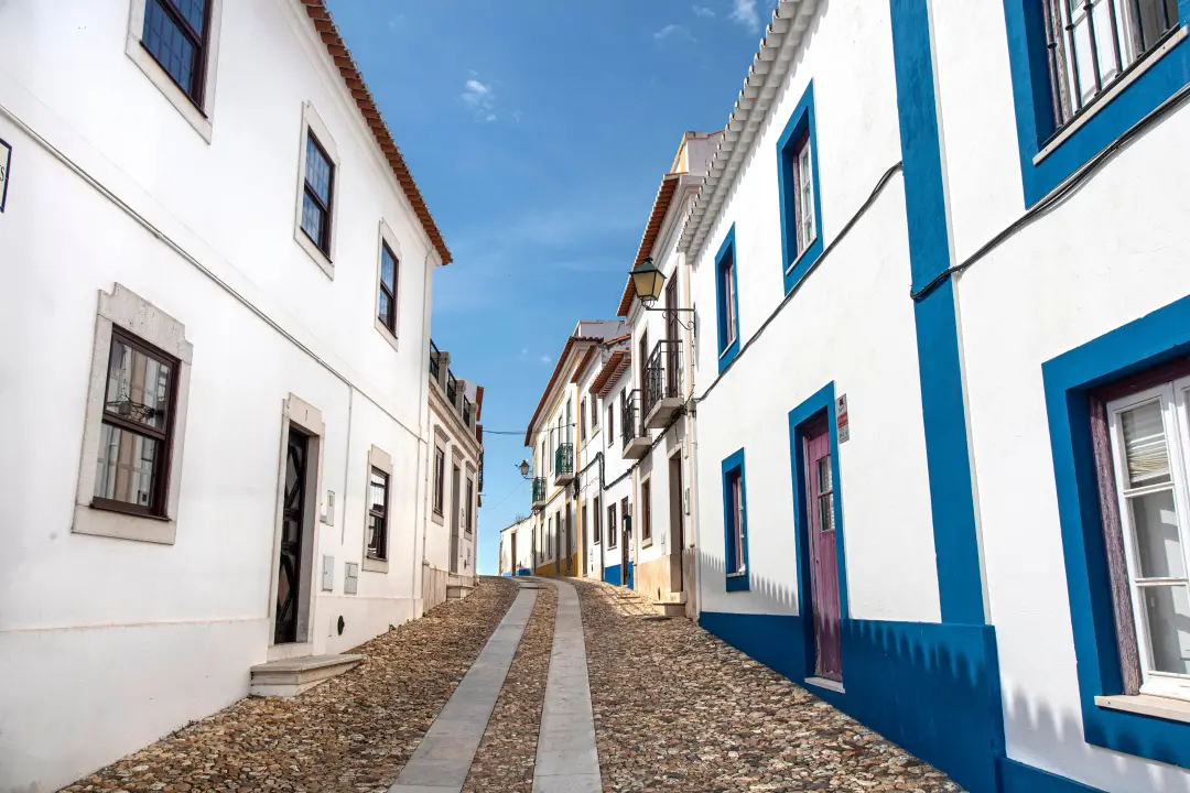 O escalabardo surge no Alentejo, cruzando caminhos e estradas com frequência. É um sinal da natureza selvagem dessa ter…