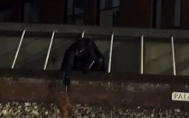Norwich, Inglaterra: homem fantasiado de Batman persegue um ladrão e recupera uma bolsa furtada. Reagir assim mostra qu…