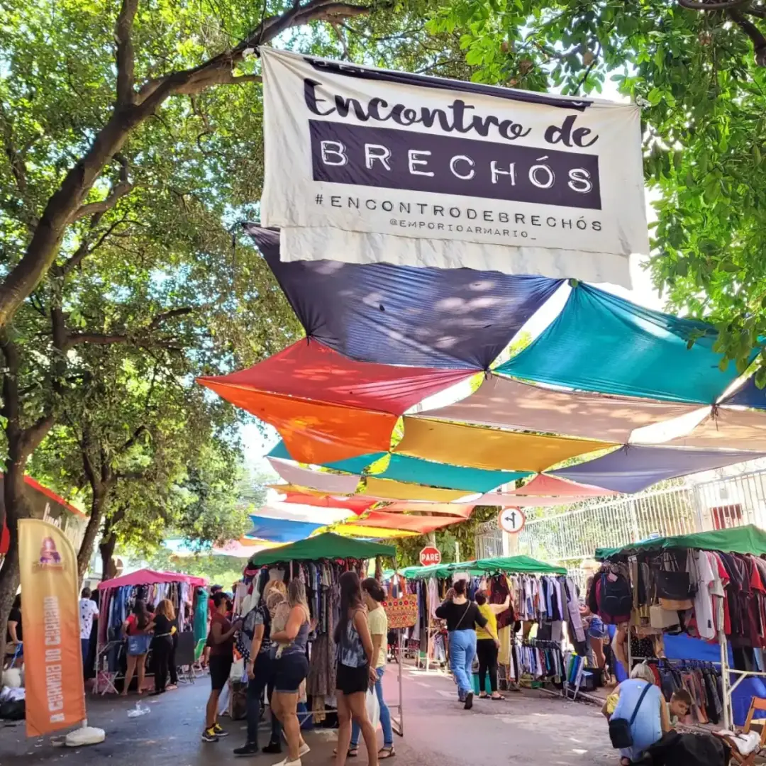 Mais de cinquenta brechós vão se reunir na Rua 8, em Goiânia, neste domingo, das 10h às 18h. Moda circular e consumo co…