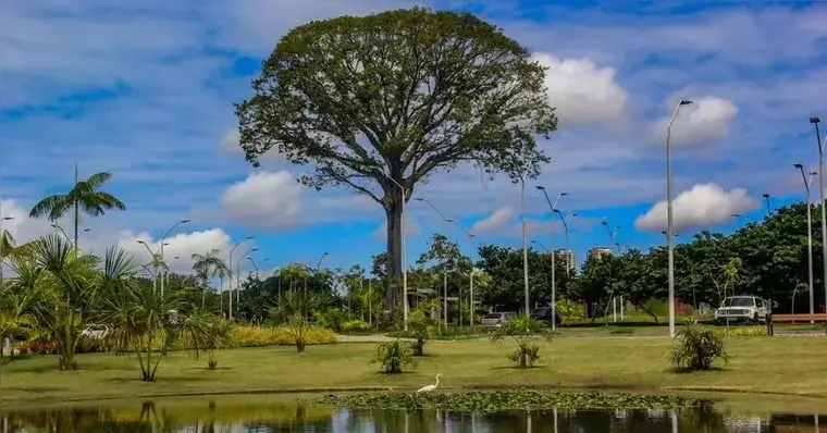 Cinco lugares com áreas verdes são opções pra passear com as crianças na Grande Belém. O Bosque Rodrigues Alves, com se…