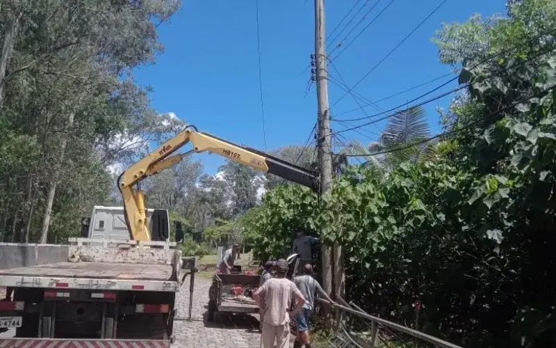 Zoológico de Sapucaia do Sul segue fechado até terça-feira, pois equipes trabalham na remoção de árvores danificadas pe…