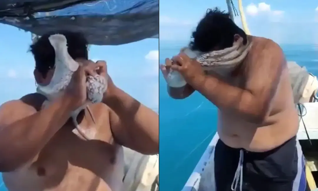 Costa do México, Progreso, pescador teve rosto coberto por um polvo que o sufocou quase. A situação mostra como a natur…