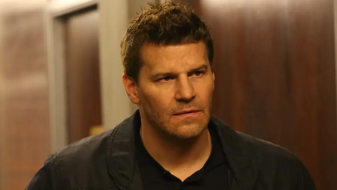 David Boreanaz, ator conhecido por Angel, Bones e SEAL Team, está ligado a uma série de crime de 52 anos que está volta…