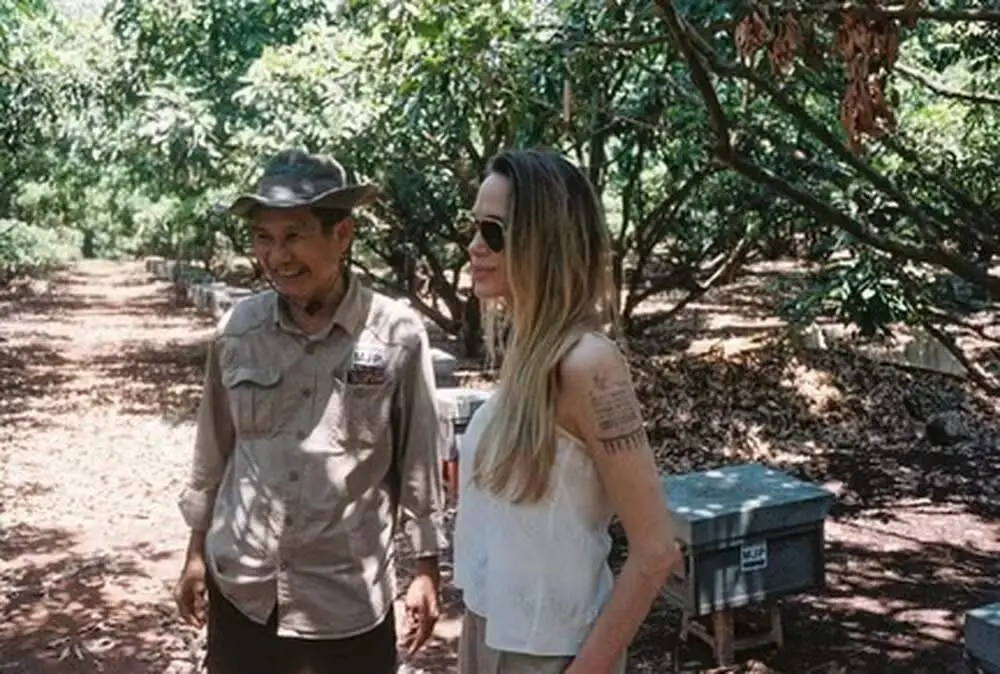 Angelina Jolie tem refúgio de 39 hectares no Camboja, rodeado por mata preservada. É bom ver iniciativas como essa, poi…