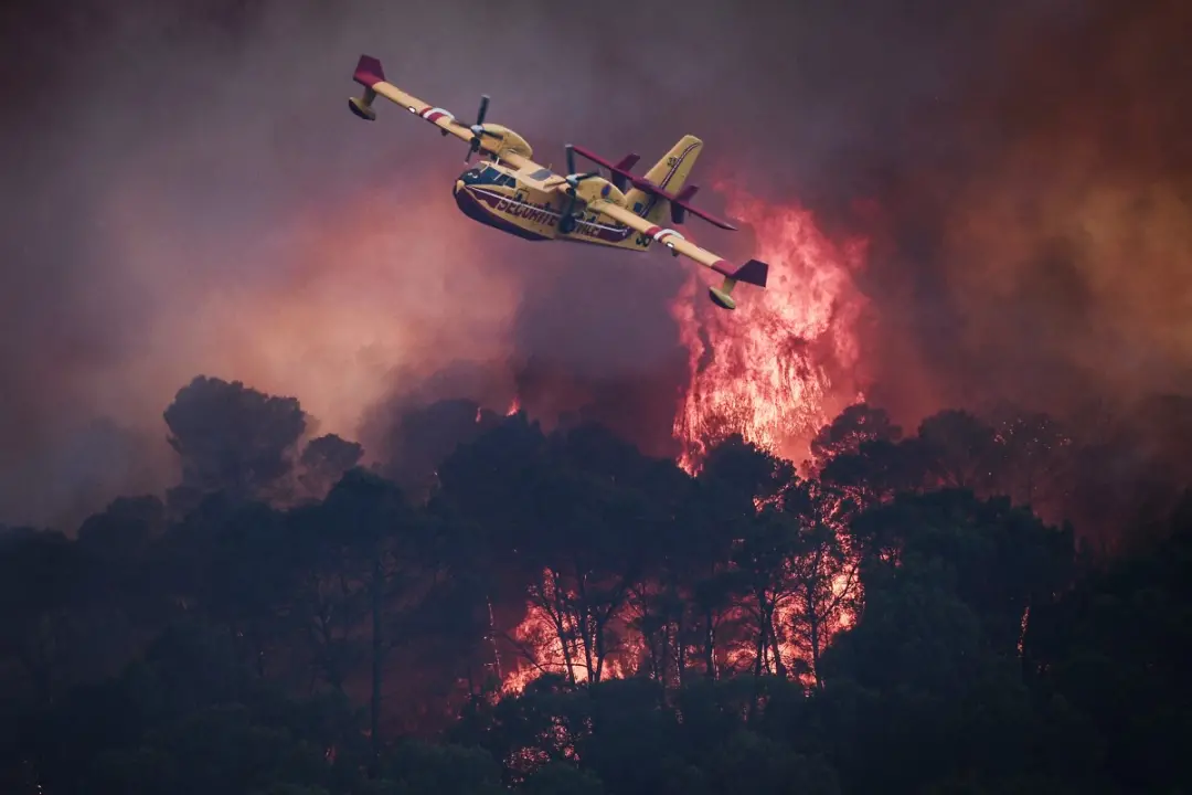 98 mil hectares queimaram na França em quase 21 mil incêndios. Esse número é cinco vezes a média e um recorde desde 197…