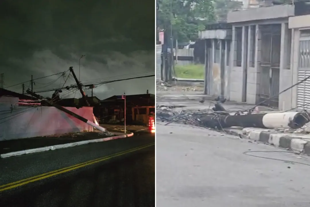 Sete postes de energia em Santos foram derrubados por um caminhoneiro bêbado. A situação causou falta de luz na região,…