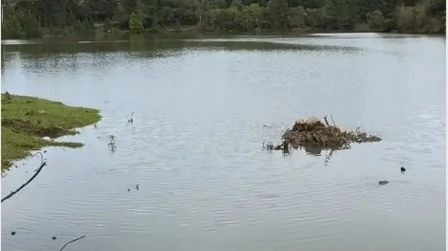 Barragem em São Marcos, na Serra Gaúcha, teve dano identificado, mas o governo alega que o impacto de um rompimento hip…