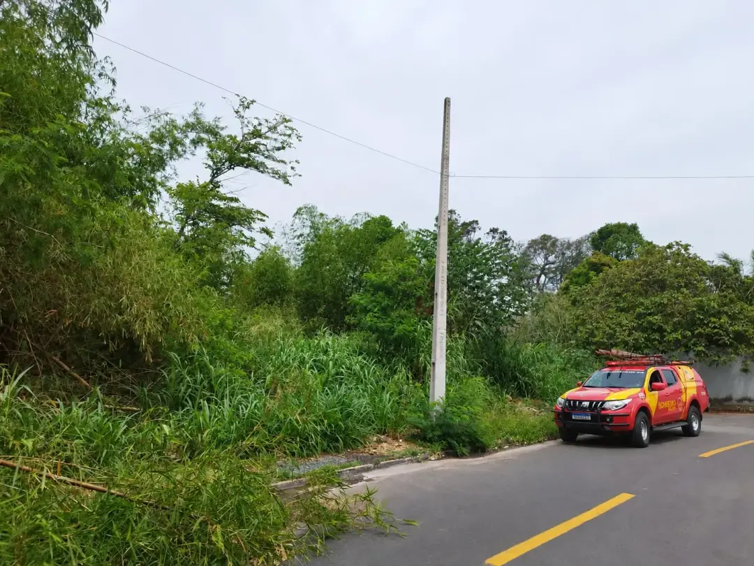 Ossada humana foi achada nos fundos de chácara em Goiânia enquanto procuravam idosa sumida há 15 dias. Esse tipo de sit…