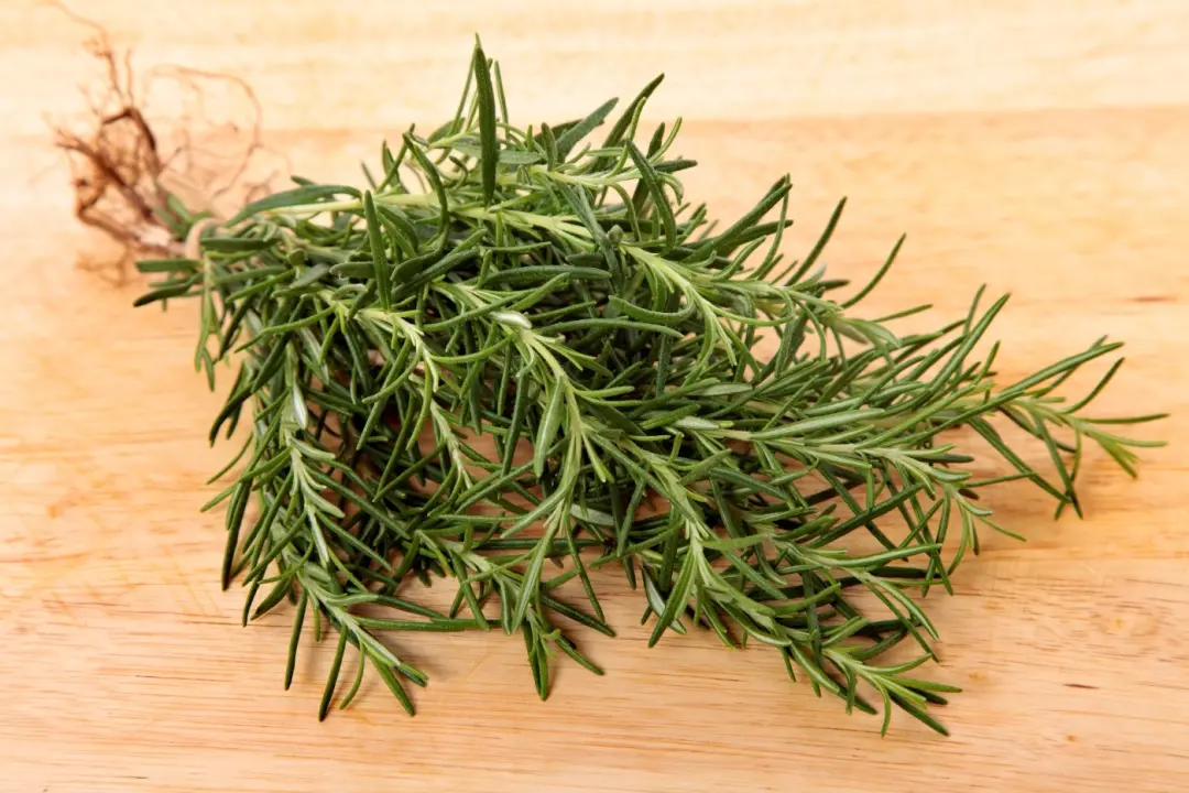 Alecrim, planta do Mediterrâneo, tem compostos bioativos que atuam como antioxidantes e neuroprotetores. É bom saber qu…