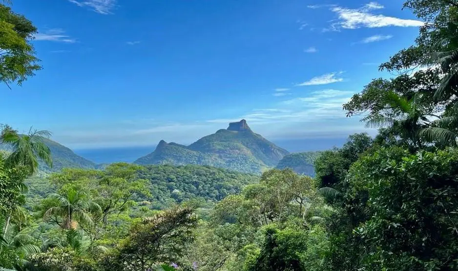 Parque Nacional da Tijuca recebe encontro gratuito sábado para falar de saúde planetária e banho de floresta. É importa…
