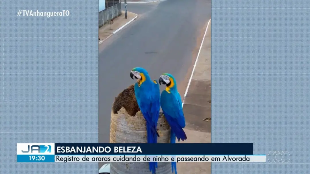 Quarta-feira, 23 de setembro de 2026, teve a segunda edição do Jornal Anhanguera-TO disponível em vídeo. Ver o telejorn…