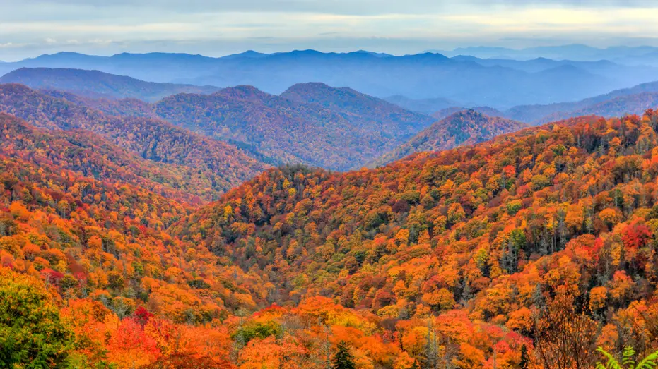 Great Smoky Mountains ficou em primeiro lugar na pesquisa de parques nacionais melhores para outono, com nota 94.7. O p…