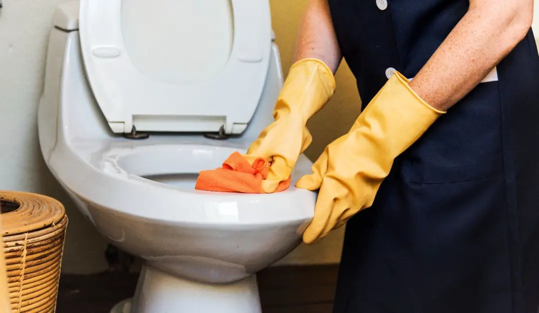 Uma limpeza completa no vaso sanitário uma vez por semana já basta para casas normais, segundo especialistas. Acho impo…