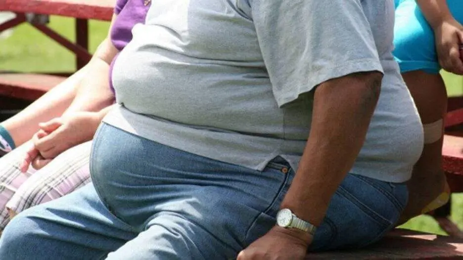 Brasil, mais de triplicou a obesidade em adultos entre 1990 e 2023. Esse salto, que coloca o país na liderança do cresc…