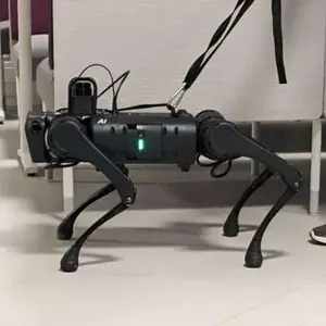 Robô guia usa tecnologia para auxiliar deficientes visuais a caminhar pelas ruas na China. Essa ferramenta mostra como …